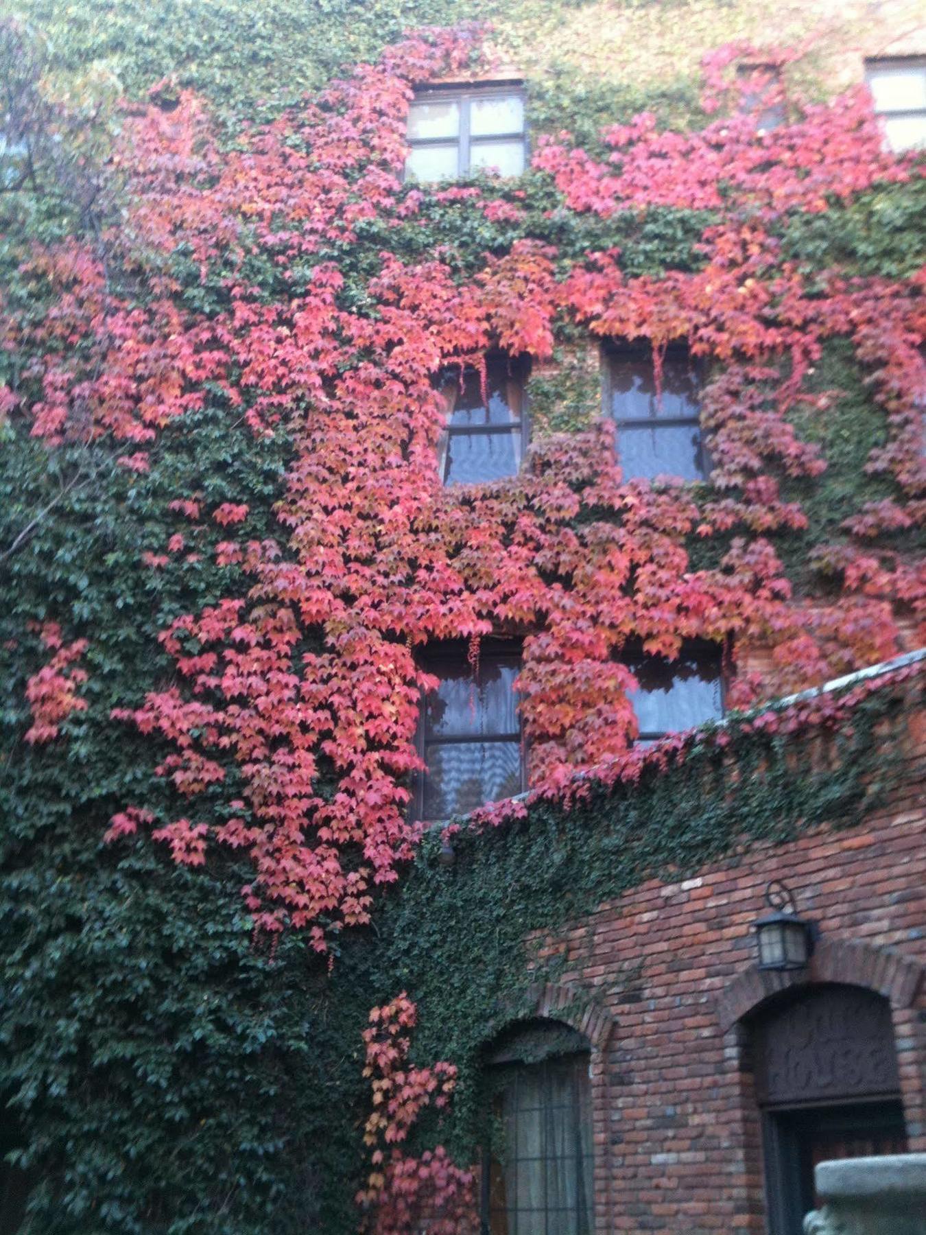 פלייסרוויל Historic Cary House Hotel מראה חיצוני תמונה